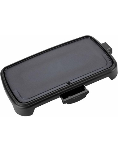 PLANCHA JATA JEGR 1241