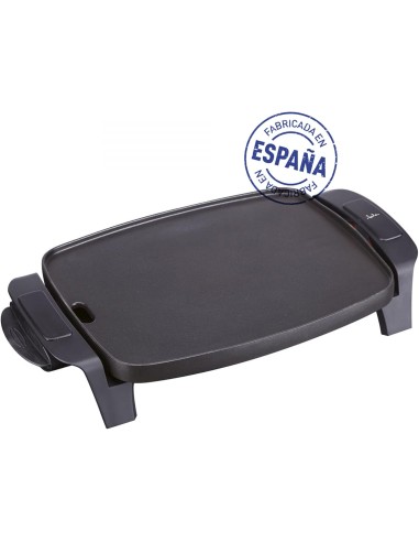 PLANCHA ASAR JATA GR205