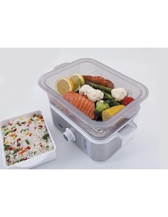 VAPORERA JATA CV623 2