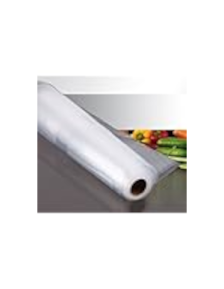 RECAMBIOS JATA ENVASADORA VACIO R22X6